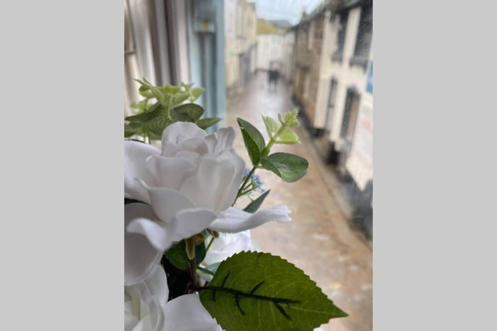 The Nest - St Ives